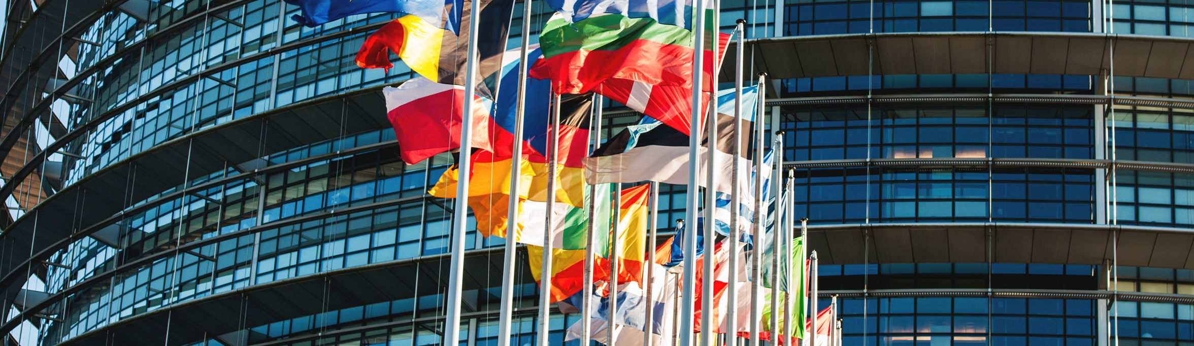 Hero gts reforming the wto